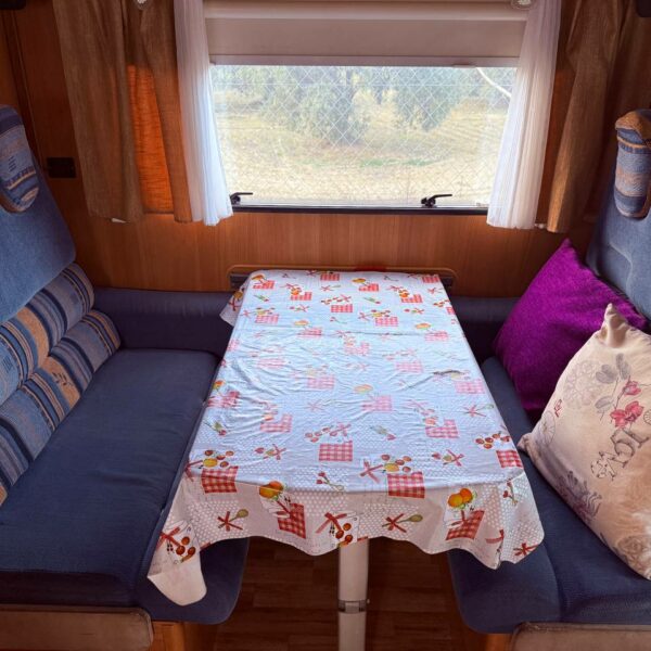 photo_5901996054050180812_y